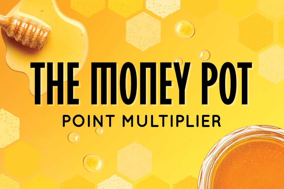 THE MONEY POT POINT MULTIPLIER